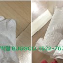 벅스코(BUGSCO)