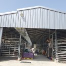 일구사슴농장 이미지