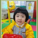 키즈정글인
