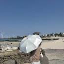 양산 | 여름 필수템 자외선차단 암막양산 먼생양산 후기
