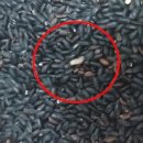 해여림유치원 이미지