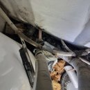 장림무지개 이미지