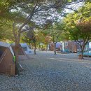 가족소풍 이미지