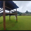 금사근린공원 축구장 이미지