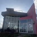 길냥이와 함께하는 | 제주도 마녀의 언덕 카페 방문기 — 피넛버터크림라떼와 청귤차, 그리고 길냥이들과 함께하는 특별한 시간