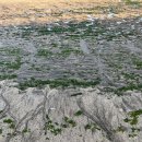 평대해수욕장 이미지