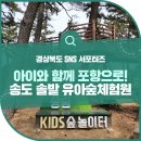 송도 솔밭 유아숲체험원 이미지