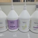 럭키하개 이미지