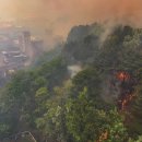 대구팔달초등학교 이미지