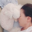 세온동물병원 이미지