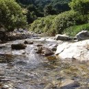 금대민박 이미지