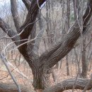 산오름공원 이미지
