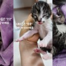 고다상사 이미지