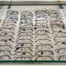 엔터안경 이미지