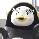 더덕먹은제주뚱돼지