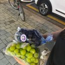 고기야미안해 이미지