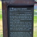 동구릉로 네이버블로그