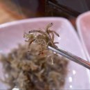 삼척해물 이미지