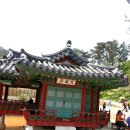 엑스포관광(2일차/2013년 순천정원 엑스포 관광) 이미지