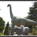 계룡산자연사박물관 이미지