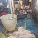 한축농장 이미지