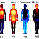 파동에너지 이미지