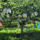 말밭농장 이미지