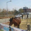 머리마을 이미지