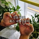 장유네일 폭스 네일앤뷰티 자석젤 후기