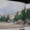 광일고등학교 | 광주광일고등학교(광주) 6회