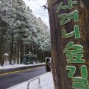 성주로232번길 전구간 | (제주 겨울여행) 제주 설경명소 사려니숲길, 1100고지 방문 후기