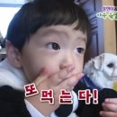 게으른 블로거가 끄적이는 일상
