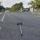 대해로 4 이미지