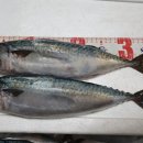 명성유통 이미지