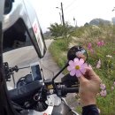 공주(당진) 이미지