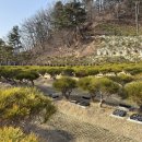 선택목장 이미지