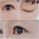 화정사우나 | 화정 속눈썹 꽁쥬아에서 처진 눈매 탈출! 마스카라 속눈썹연장 C컬 후기