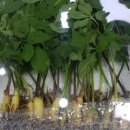 달이농장 이미지