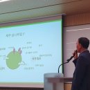 리본나무 이미지