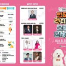2023 청도 펫티켓 문화콘서트 이미지