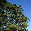 아라메길(3) 이미지