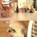 뽀미농장 이미지