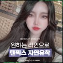 차이성형외과