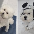 서수원병원 이미지