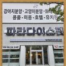 프라이드 켄넬 | 대전강아지분양 생각한만큼
