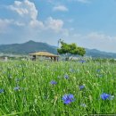 남산공원(정자아래) 이미지