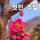 청하 돌솥밥 이미지