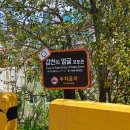 감천의 얼굴 이미지