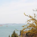 왕지등대마을 이미지