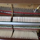 진해신항초등학교 이미지